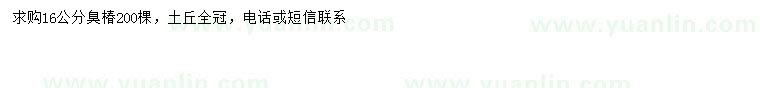 求購16公分臭椿