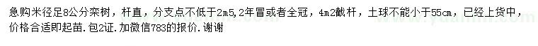 求購米徑8公分欒樹