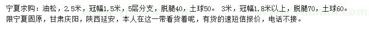 求購2.5、3米油松