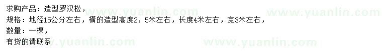 求購地徑15公分造型羅漢松