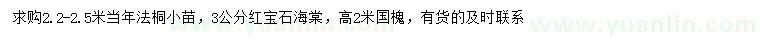 求購(gòu)法桐小苗、紅寶石海棠、國(guó)槐小苗