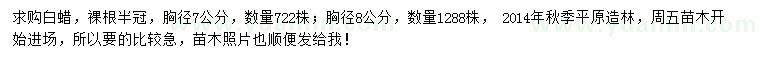 求購胸徑7、8公分白蠟