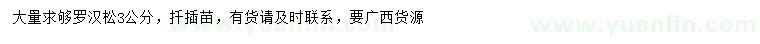 求購(gòu)3公分羅漢松