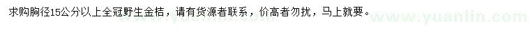 求購胸徑15公分以上金桔