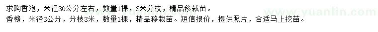 求購(gòu)米徑30公分香泡、3公分香櫞