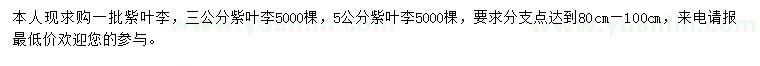 求購(gòu)3、5公分紫葉李