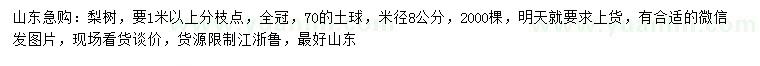 求購米徑8公分梨樹