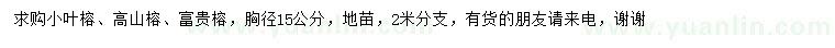 求購(gòu)小葉榕、高山榕、富貴榕