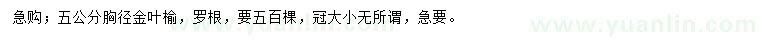 求購胸徑5公分金葉榆
