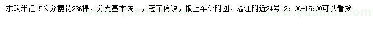 求購米徑15公分櫻花