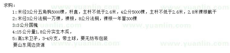 求購五角楓、法桐、國槐等