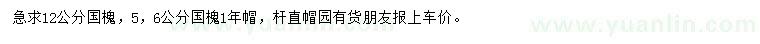 求購(gòu)5、6、12公分國(guó)槐