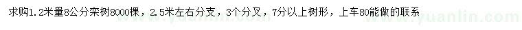 求購1.2米量8公分欒樹