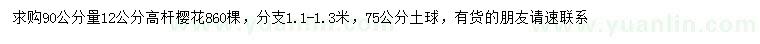 求購90公分量12公分高桿櫻花
