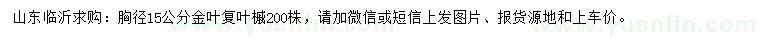求購胸徑15公分金葉復(fù)葉槭