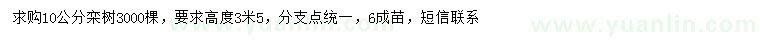 求購10公分欒樹