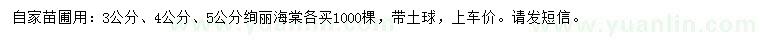 求購3、4、5公分絢麗海棠
