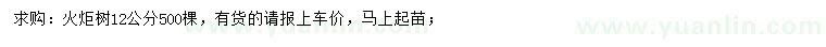 求購12公分火炬樹