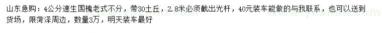 求購4公分速生國槐