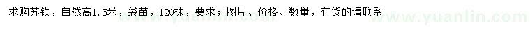 求購高1.5米蘇鐵