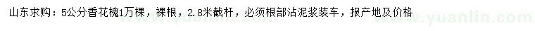 求購(gòu)5公分香花槐