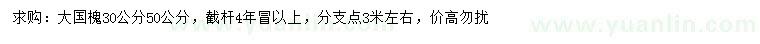 求購30、50公分國槐