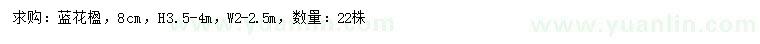 求購8公分藍(lán)花楹