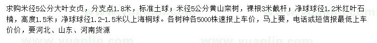 求購(gòu)大葉女貞、黃山欒樹(shù)、紅葉石楠等