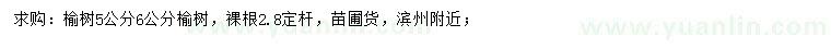 求購5、6公分榆樹