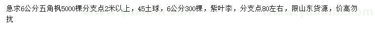 求購6公分五角楓、紫葉李