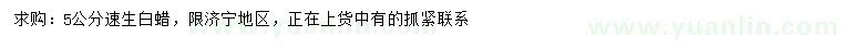 求購5公分速生白蠟
