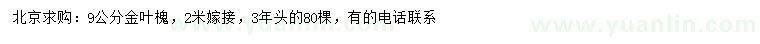 求購9公分金葉槐