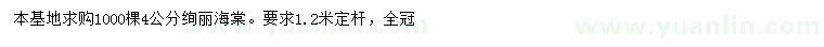 求購4公分絢麗海棠