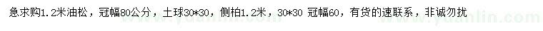 求購1.2米油松、側(cè)柏
