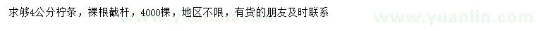 求購4公分檸條