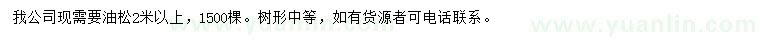 求購2米以上油松