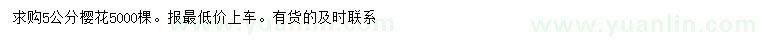 求購(gòu)5公分櫻花