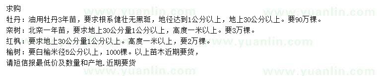 求購(gòu)牡丹、欒樹、紅楓等