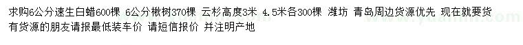 求購(gòu)速生白蠟、楸樹、云杉
