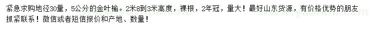 求購30量5公分金葉榆