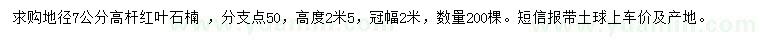 求購(gòu)地徑7公分紅葉石楠 