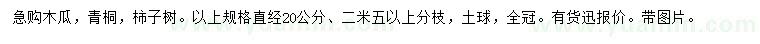求購木瓜、青桐、柿子樹