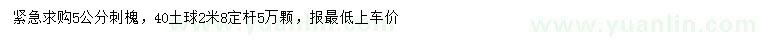 求購5公分刺槐