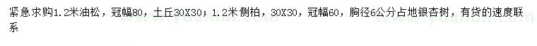 求購油松、側(cè)柏、銀杏