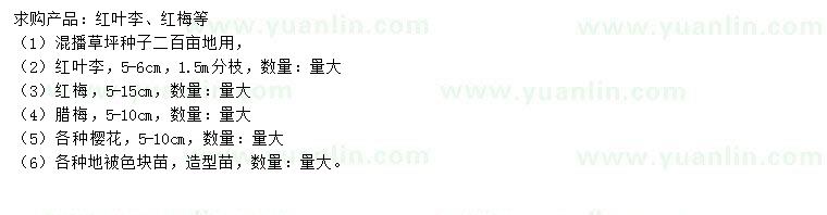 求購(gòu)混播草坪種子、紅葉李、紅梅等