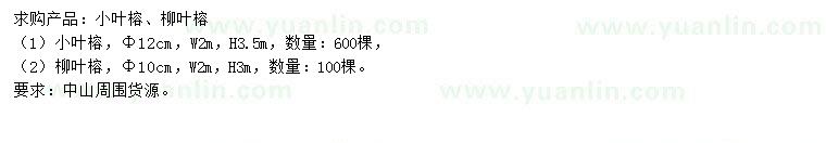 求購12公分小葉榕、10公分柳葉榕