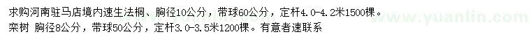 求購胸徑10公分速生法桐、胸徑8公分欒樹