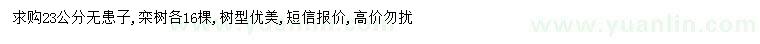 求購(gòu)23公分無(wú)患子、欒樹