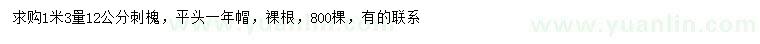 求購1.3米量12公分刺槐