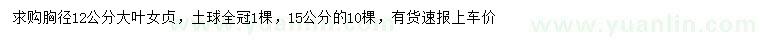 求購胸徑12、15公分大葉女貞